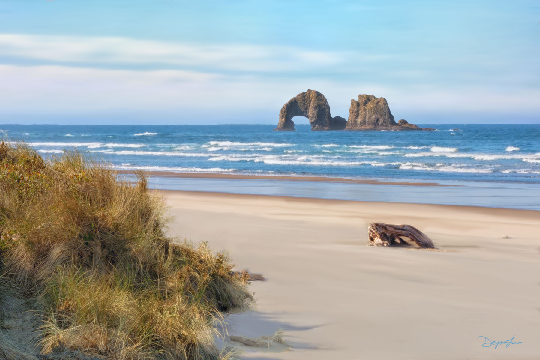 Blue Coast Inn and Suites hotels in brookings oregon