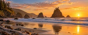Golden sunset over a sandy Oregon beach with sea stacks and driftwood