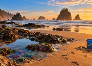 Illustration of a sandy Oregon beach with tide pools, sea stacks at sunrise, a child bucket and small footprints in the sand