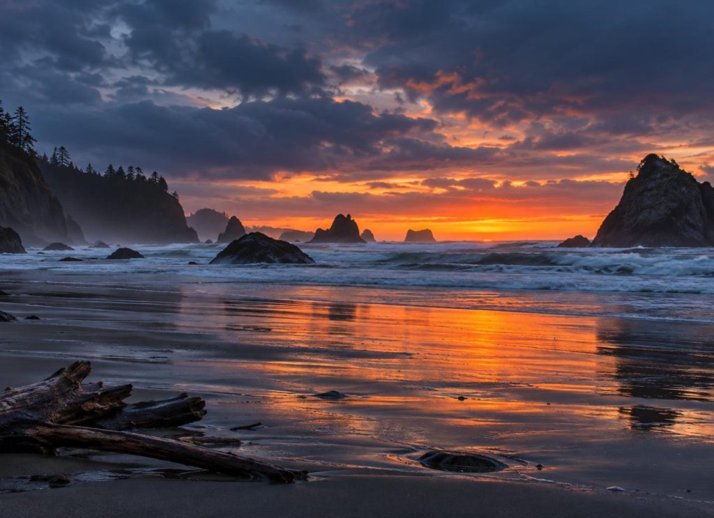 Winter dusk on an Oregon coast beach with sea stacks, driftwood and an orange sunset reflected in wet sand (illustration)