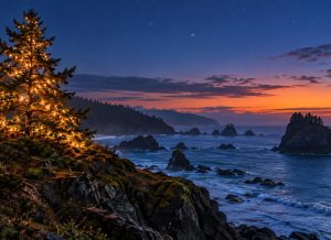 A pine tree wrapped in warm string lights on a rocky Oregon coast headland at blue hour (illustration)